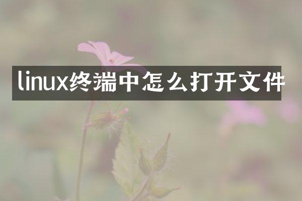 linux终端中怎么打开文件