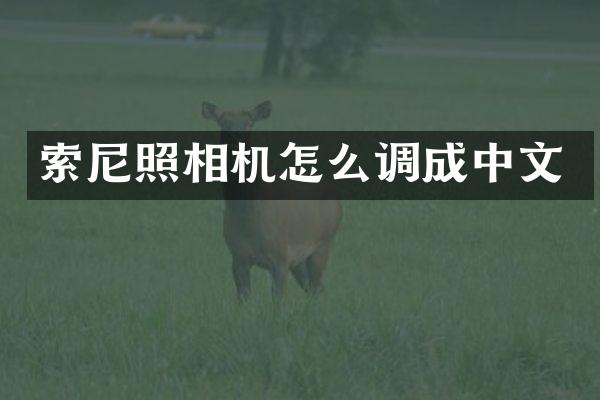 照相机怎么调成中文