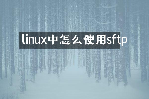 linux中怎么使用sftp