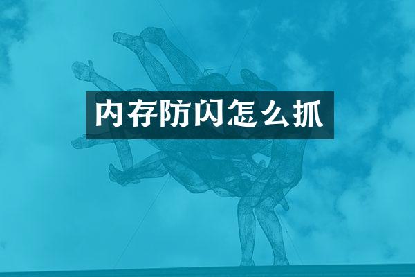 内存防闪怎么抓