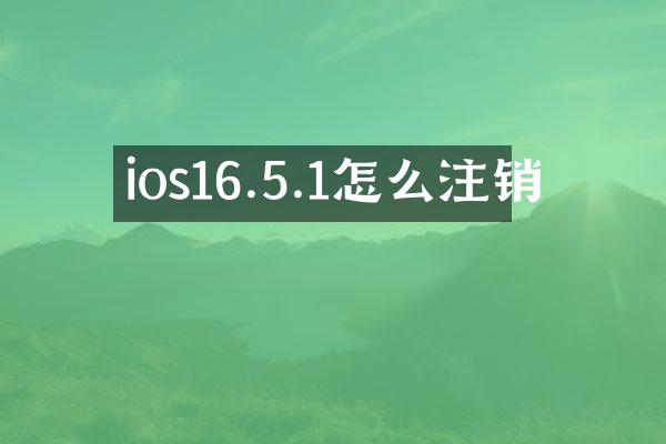 ios16.5.1怎么注销