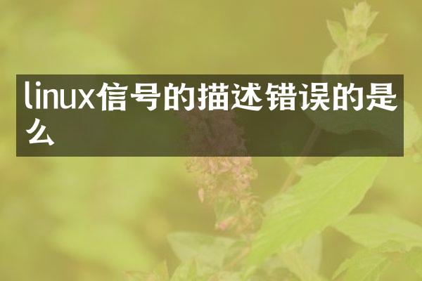 linux信号的描述错误的是什么
