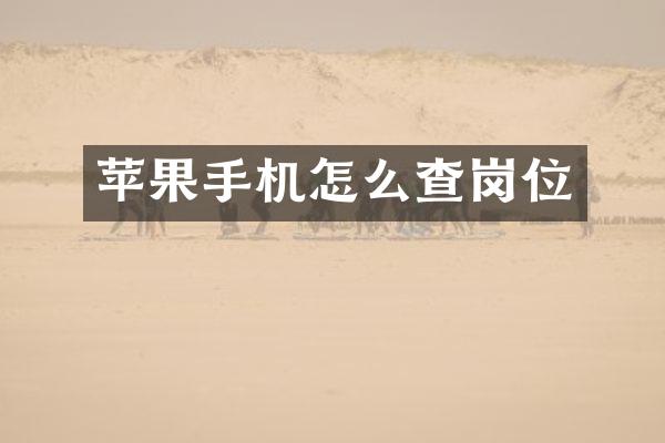 苹果手机怎么查岗位