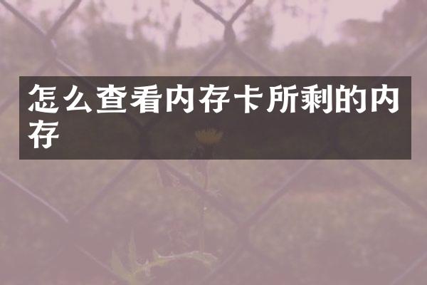 怎么查看内存卡所剩的内存