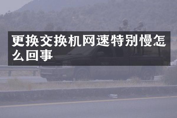 更换交换机网速特别慢怎么回事