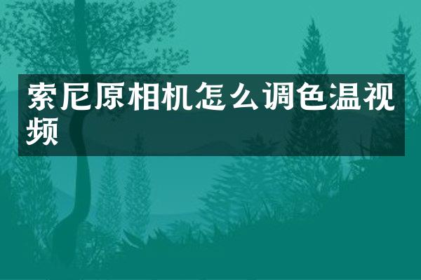 原相机怎么调色温视频