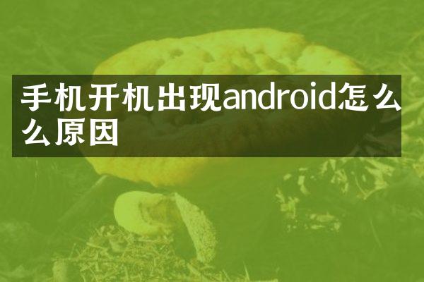 手机开机出现android怎么什么原因