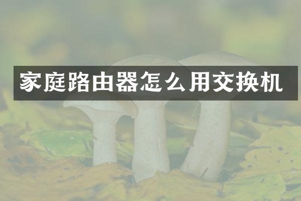 家庭路由器怎么用交换机