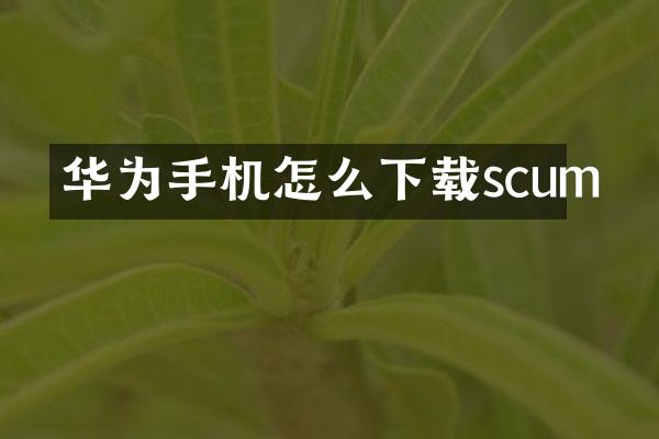 华为手机怎么下载scum
