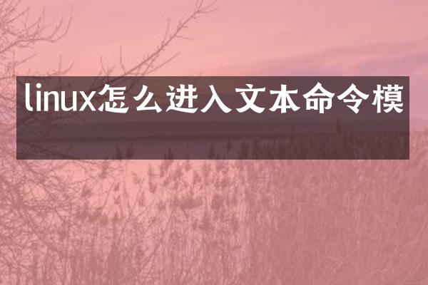 linux怎么进入文本命令模式