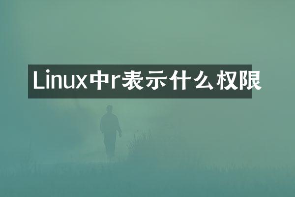 Linux中r表示什么权限
