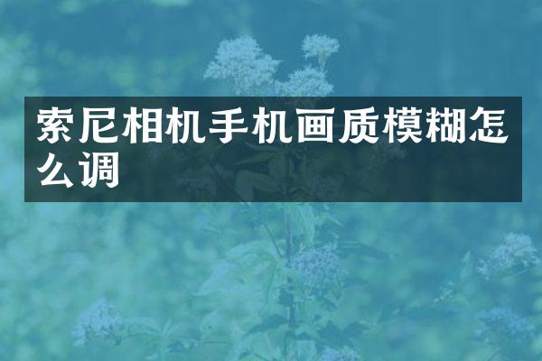相机手机画质模糊怎么调