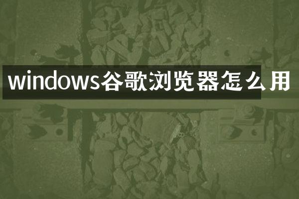 windows谷歌浏览器怎么用