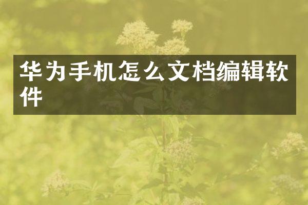 华为手机怎么文档编辑软件