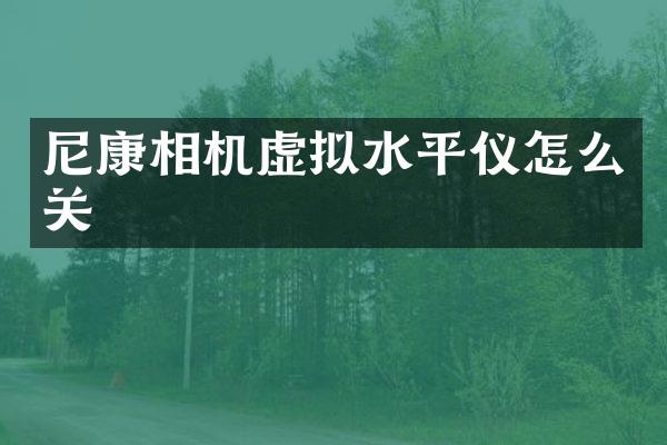 尼康相机虚拟水平仪怎么关