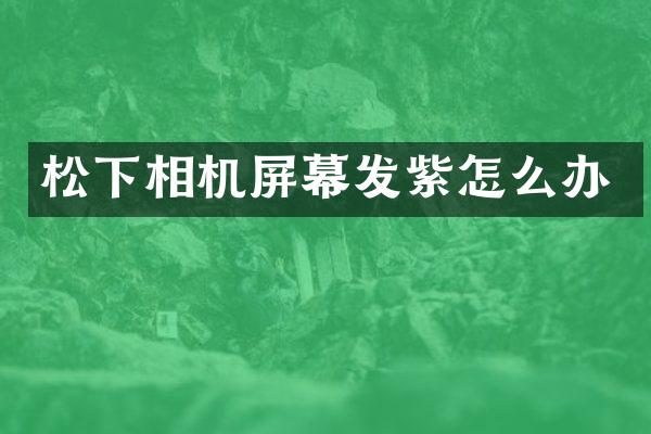 相机屏幕发紫怎么办
