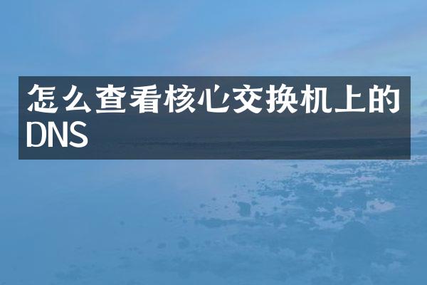 怎么查看核心交换机上的DNS