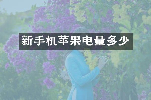新手机苹果电量多少