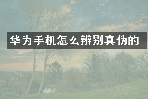 华为手机怎么辨别真伪的