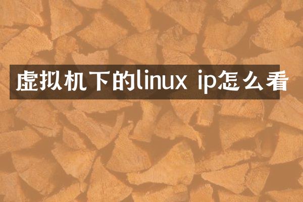 虚拟机下的linux ip怎么看