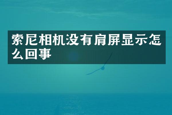 相机没有肩屏显示怎么回事