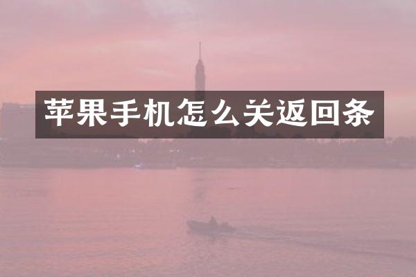 苹果手机怎么关返回条
