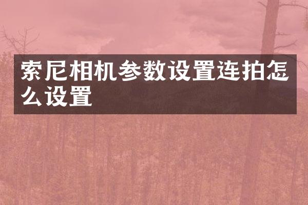 相机参数设置连拍怎么设置