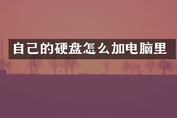 自己的硬盘怎么加电脑里