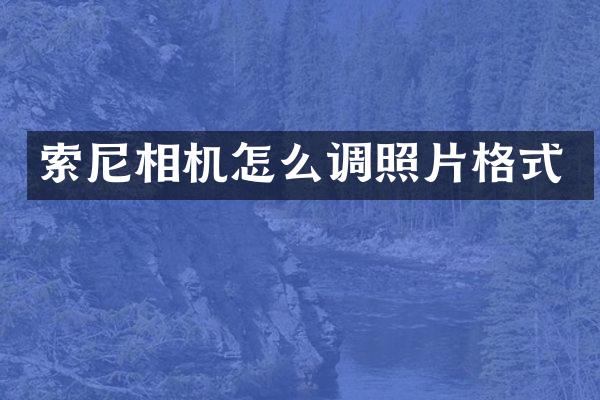 相机怎么调照片格式