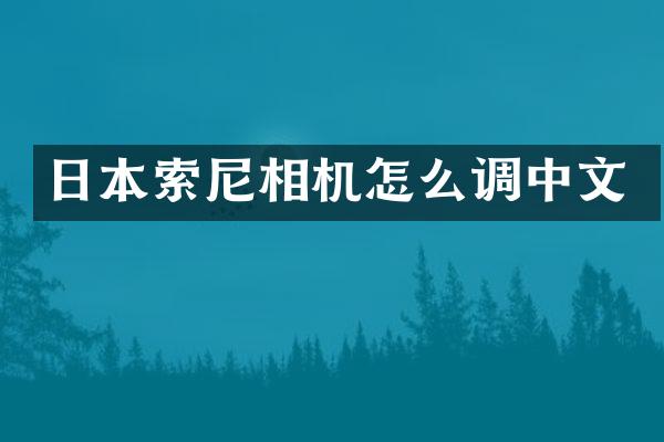 日本相机怎么调中文