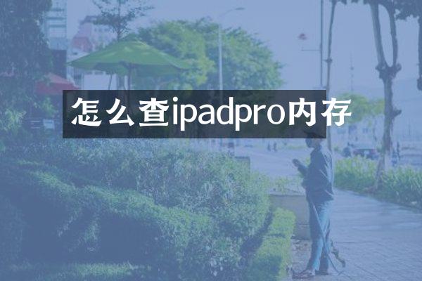 怎么查ipadpro内存