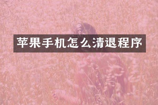 苹果手机怎么清退程序