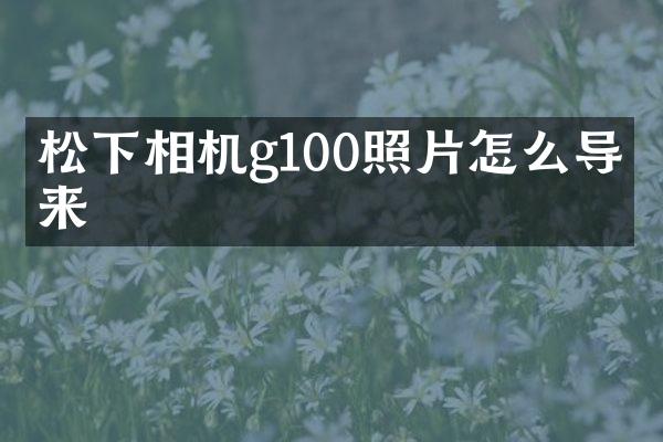 相机g100照片怎么导出来