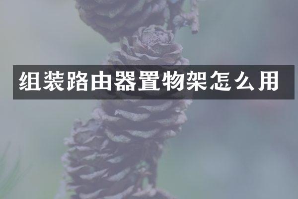 组装路由器置物架怎么用
