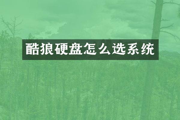 酷狼硬盘怎么选系统