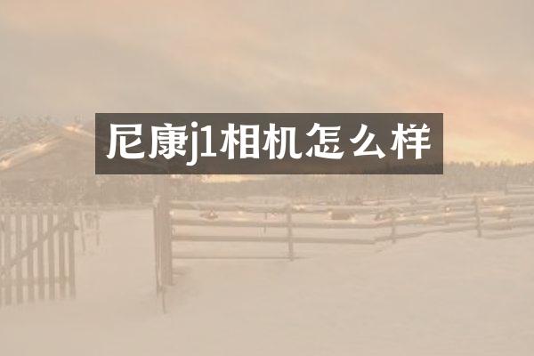 尼康j1相机怎么样