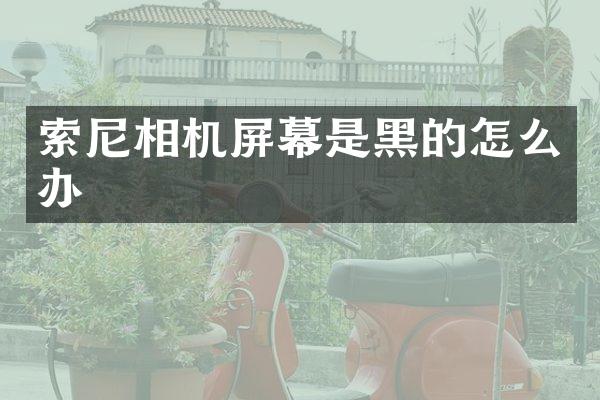 相机屏幕是黑的怎么办