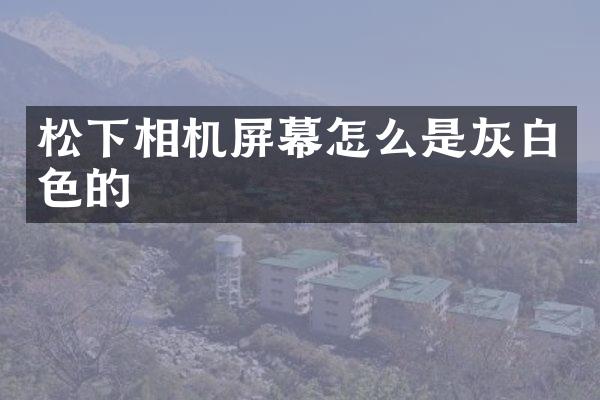 相机屏幕怎么是灰白色的