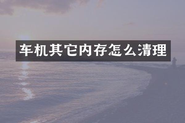 车机其它内存怎么清理