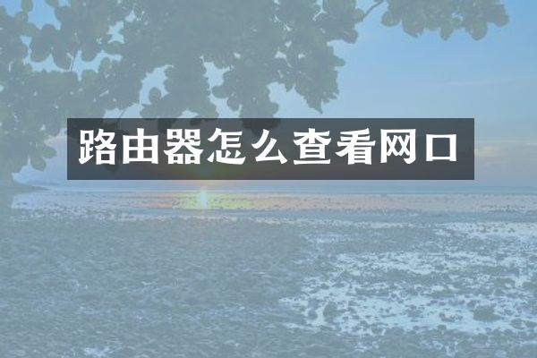 路由器怎么查看网口