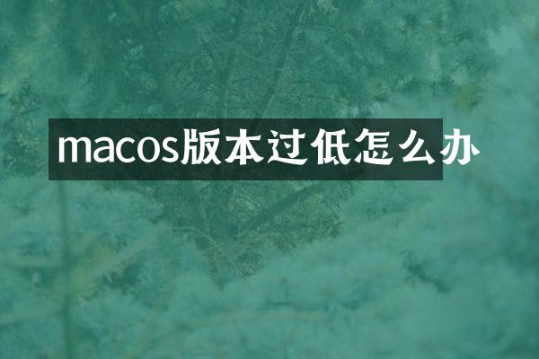 macos版本过低怎么办