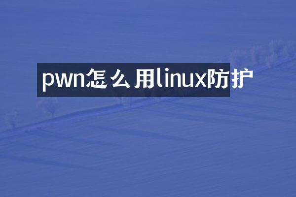 pwn怎么用linux防护