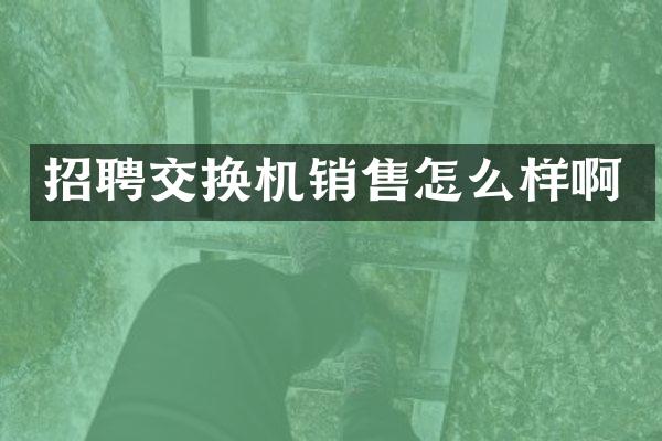招聘交换机销售怎么样啊