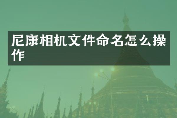 尼康相机文件命名怎么操作