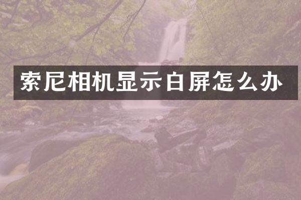 相机显示白屏怎么办