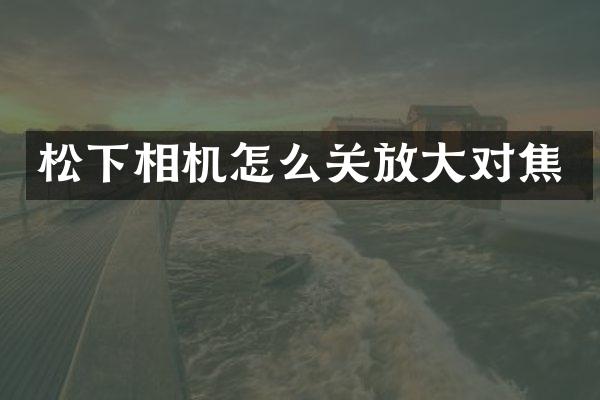相机怎么关放大对焦