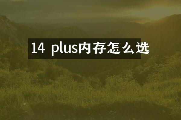 14 plus内存怎么选