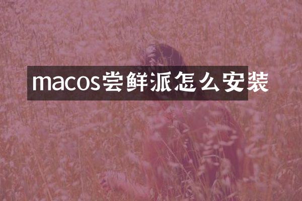 macos尝鲜派怎么安装