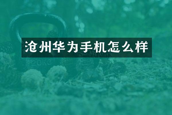 沧州华为手机怎么样