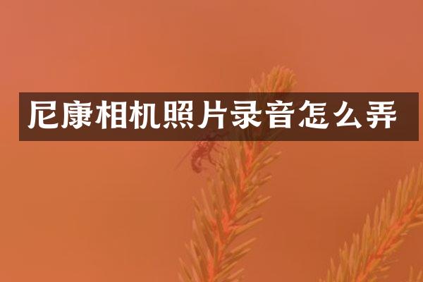 尼康相机照片录音怎么弄